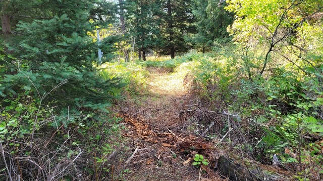 177 Double Creek Ln, Troy, MT 59935
