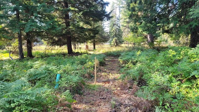 177 Double Creek Ln, Troy, MT 59935