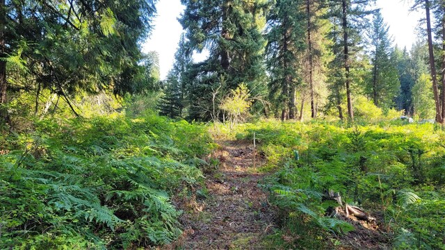 177 Double Creek Ln, Troy, MT 59935