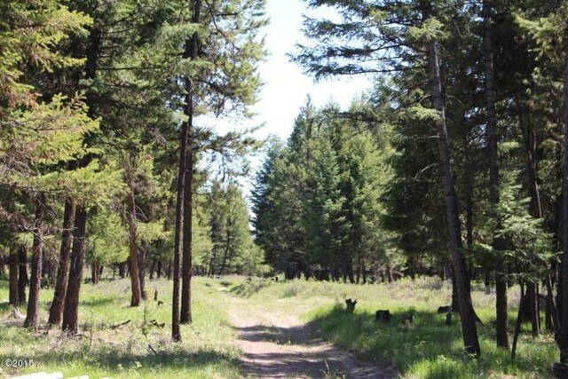 174 Badger Trl, Eureka, MT 59917 - view of wooded area