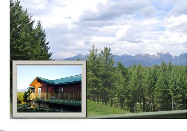 174 Badger Trl, Eureka, MT 59917 - detailed view of a mountain view