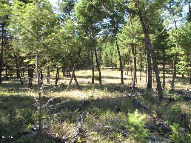 174 Badger Trl, Eureka, MT 59917 - view of nature