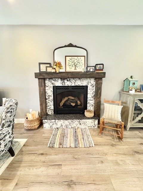 3975 Jaycee Ct Unit B, East Helena, MT 59635 - detailed view of wood finished floors and a fireplace