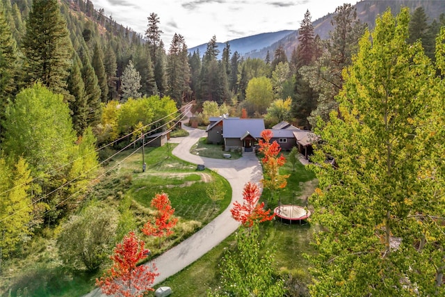 260 Medicine Springs Rd, Conner, MT 59827