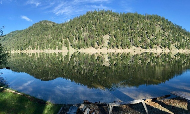 8807 W Fork Rd, Darby, MT 59829 - view of mountain background featuring a forest and a nearby body of water