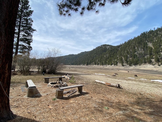 8807 W Fork Rd, Darby, MT 59829 - view of mountain backdrop featuring a forest