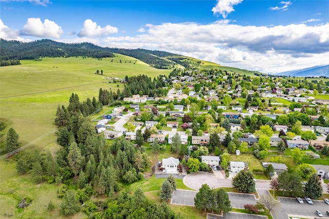 bird's eye view of a mountain backdrop