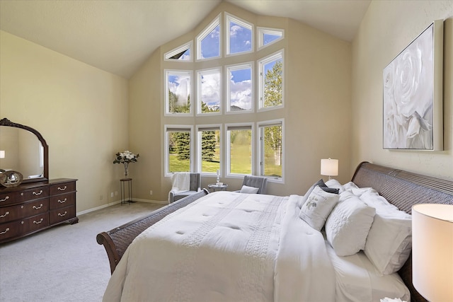 215 Browns Gulch Rd, Kalispell, MT 59901 - bedroom featuring high vaulted ceiling, carpet floors, and baseboards
