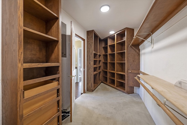 215 Browns Gulch Rd, Kalispell, MT 59901 - walk in closet featuring carpet flooring