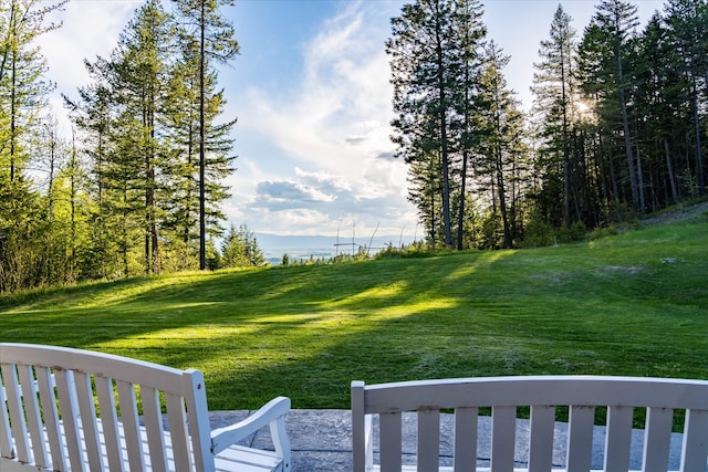 215 Browns Gulch Rd, Kalispell, MT 59901 - view of green lawn