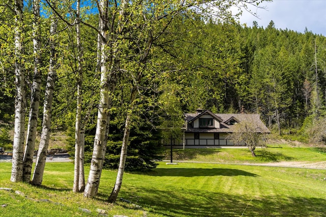 215 Browns Gulch Rd, Kalispell, MT 59901 - view of grassy yard featuring a wooded view