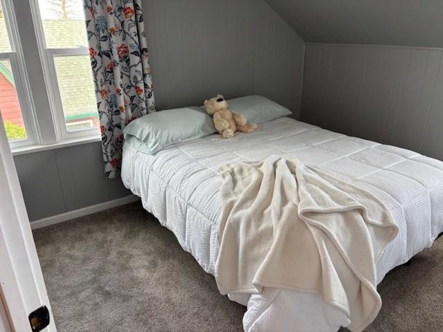 330 2nd St S, Shelby, MT 59474 - bedroom featuring carpet flooring, lofted ceiling, and baseboards