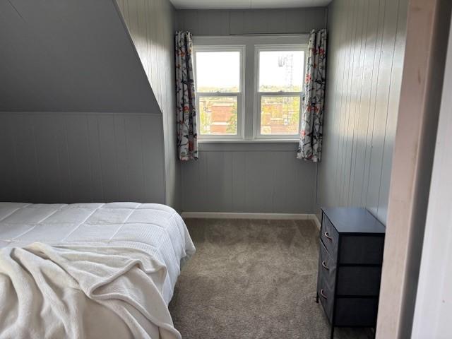 330 2nd St S, Shelby, MT 59474 - bedroom with carpet floors and baseboards