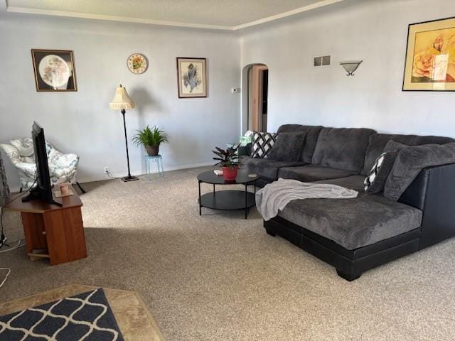 330 2nd St S, Shelby, MT 59474 - living area featuring arched walkways and carpet