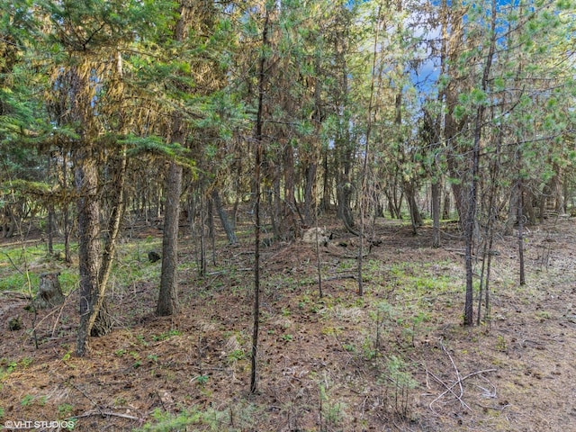 105 Blade Dr, Marion, MT 59925