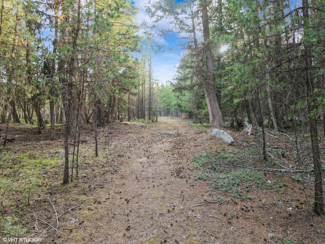 105 Blade Dr, Marion, MT 59925