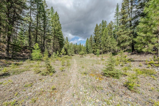 6470 US Highway 93 S, Eureka, MT 59917 - view of woods