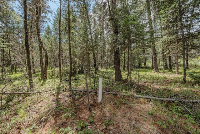 6470 US Highway 93 S, Eureka, MT 59917 - view of tree filled area