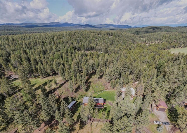 6470 US Highway 93 S, Eureka, MT 59917 - aerial view of a forest and a mountain backdrop