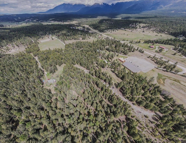 6470 US Highway 93 S, Eureka, MT 59917 - aerial view of property and surrounding area featuring a mountain backdrop and a forest