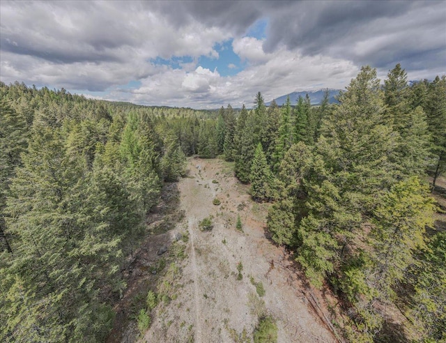 6470 US Highway 93 S, Eureka, MT 59917 - bird's eye view of mountains