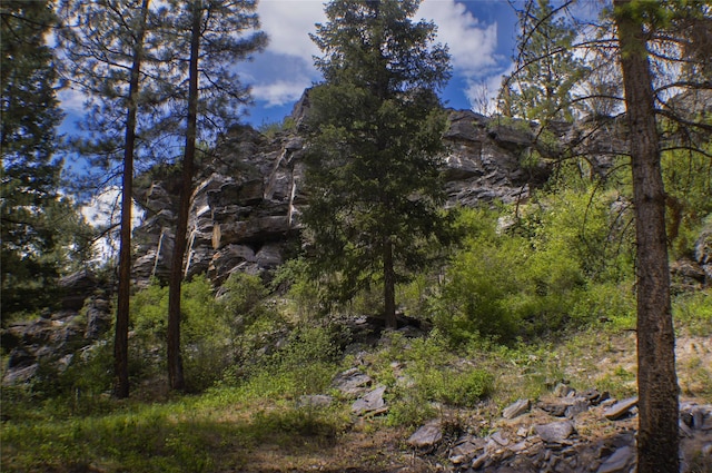 6961 Mt Highway 200, Plains, MT 59859 - view of nature