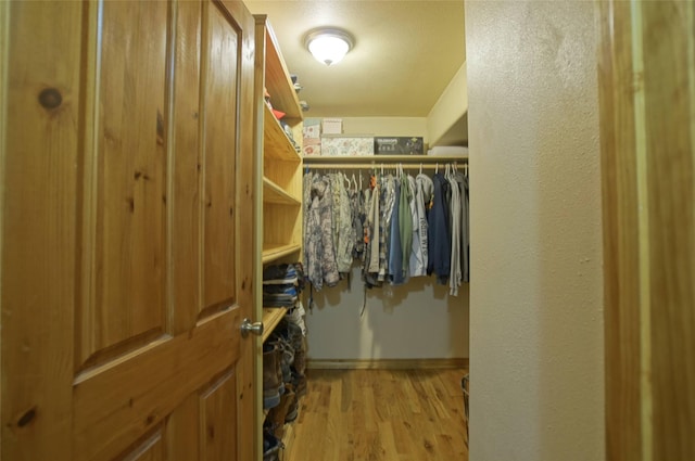 6961 Mt Highway 200, Plains, MT 59859 - spacious closet with light wood-type flooring