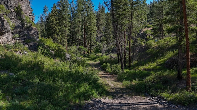 6961 Mt Highway 200, Plains, MT 59859 - view of wooded area