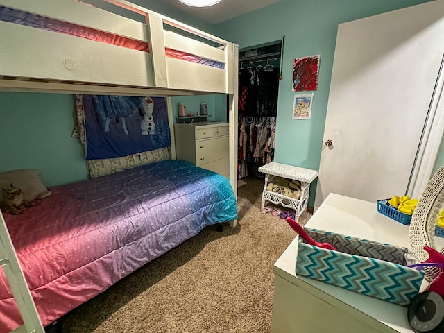 325 River Dr, Lolo, MT 59847 - bedroom featuring carpet flooring and a closet