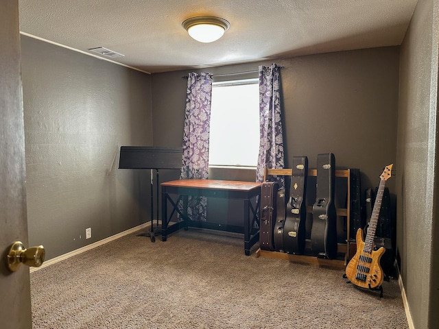 325 River Dr, Lolo, MT 59847 - office featuring carpet flooring, baseboards, and a textured ceiling