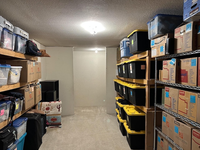 325 River Dr, Lolo, MT 59847 - view of storage