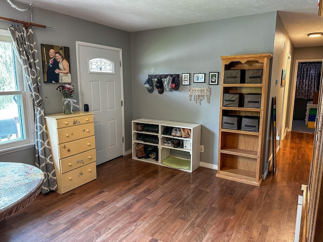 325 River Dr, Lolo, MT 59847 - entrance foyer featuring wood finished floors, plenty of natural light, and baseboards