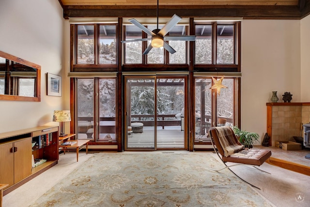 481 S Park Ave, Helena, MT 59601 - doorway to outside with a towering ceiling, a ceiling fan, a wood stove, and carpet