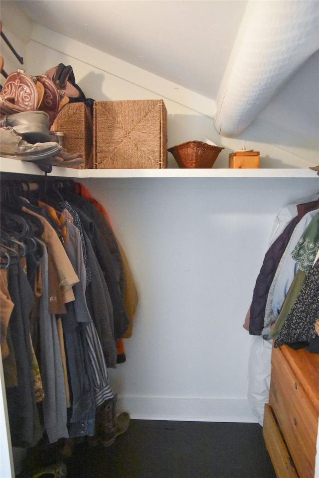 view of walk in closet