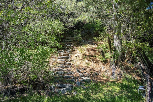 318 Mt Highway 56, Noxon, MT 59853 - view of undeveloped land