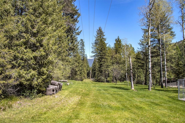 318 Mt Highway 56, Noxon, MT 59853 - view of green lawn featuring a view of trees