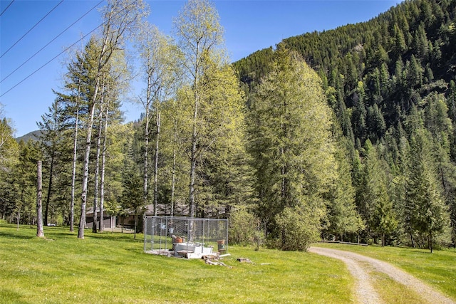 318 Mt Highway 56, Noxon, MT 59853 - view of home's community with a view of trees, a lawn, a mountain view, and driveway