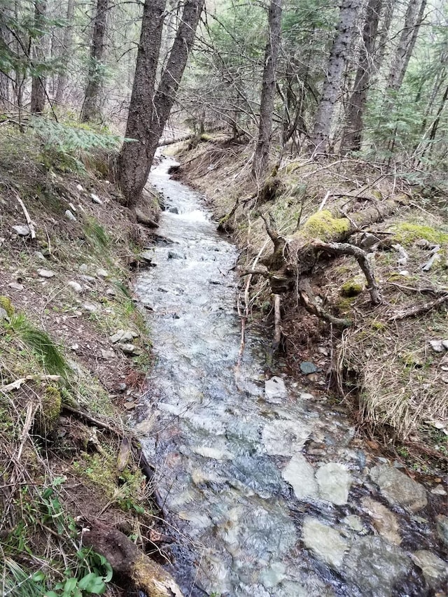 318 Mt Highway 56, Noxon, MT 59853 - view of undeveloped land