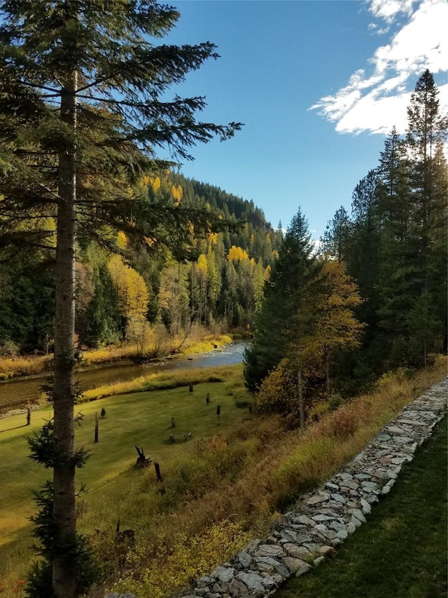 318 Mt Highway 56, Noxon, MT 59853 - view of green lawn with a view of trees and a water view