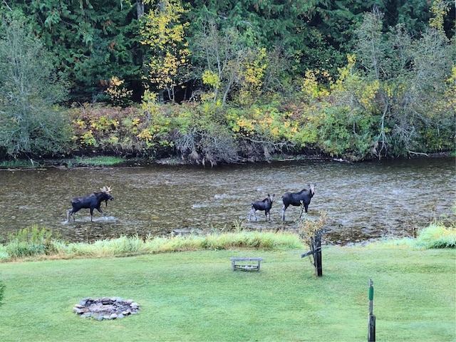 318 Mt Highway 56, Noxon, MT 59853 - view of green lawn