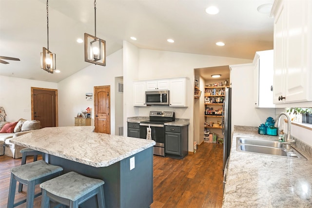 301 Bernie Rd, Alberton, MT 59820 - kitchen with appliances with stainless steel finishes, a sink, lofted ceiling, open floor plan, and dark wood-style flooring