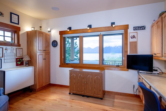 34520 Rocky Point Rd, Polson, MT 59860 - office featuring light wood-style flooring, plenty of natural light, and baseboards
