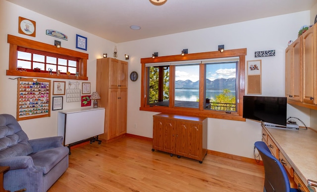 34520 Rocky Point Rd, Polson, MT 59860 - office space with light wood-style flooring and baseboards