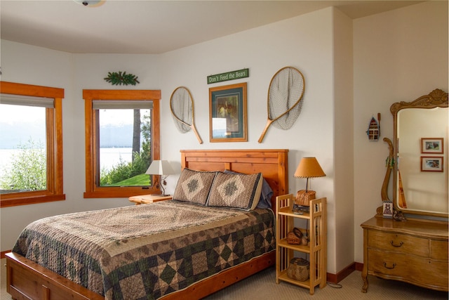 34520 Rocky Point Rd, Polson, MT 59860 - bedroom with carpet floors, multiple windows, and baseboards