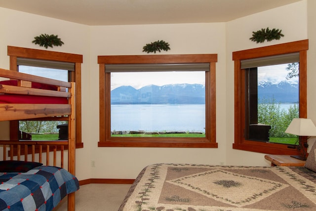34520 Rocky Point Rd, Polson, MT 59860 - bedroom featuring carpet floors and a water view