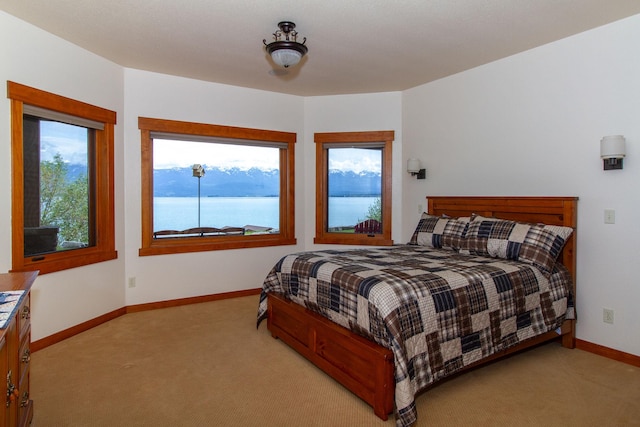 34520 Rocky Point Rd, Polson, MT 59860 - bedroom featuring light carpet, multiple windows, a water view, and baseboards