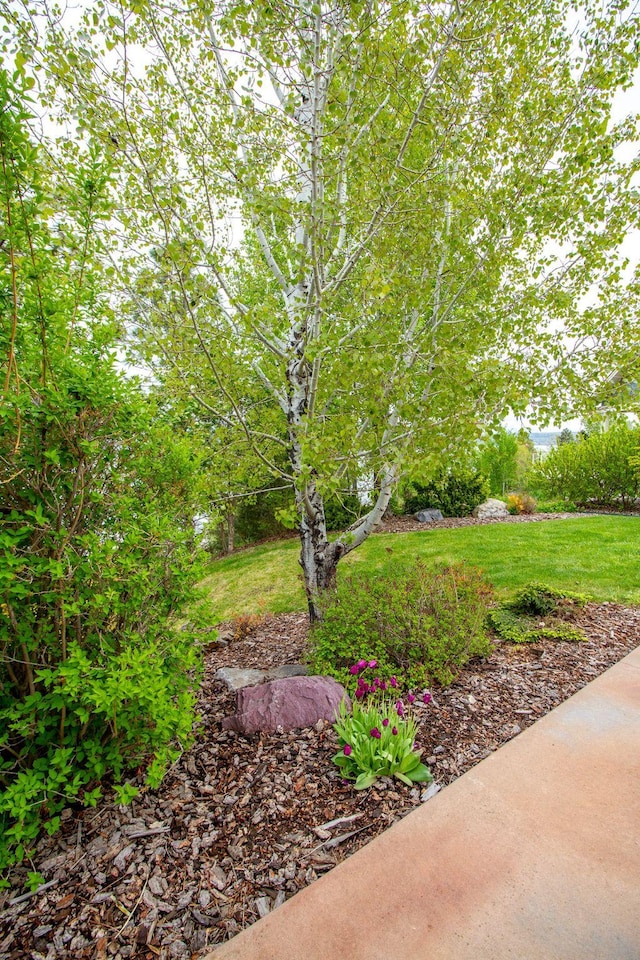 34520 Rocky Point Rd, Polson, MT 59860 - view of grassy yard