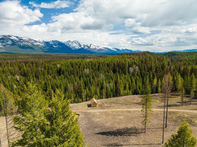 1770 Piper Creek Rd, Bigfork, MT 59911
