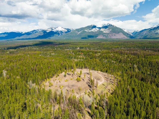1770 Piper Creek Rd, Bigfork, MT 59911