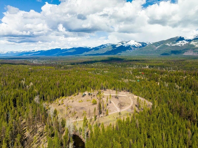 1770 Piper Creek Rd, Bigfork, MT 59911